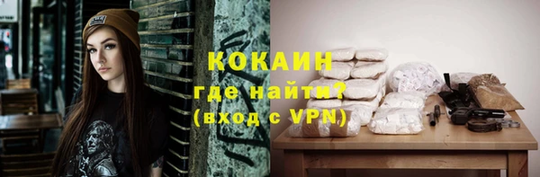 индика Козельск
