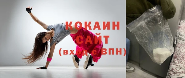индика Козельск