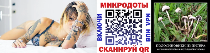 Галлюциногенные грибы Psilocybine cubensis где можно купить наркотик Сосновый Бор